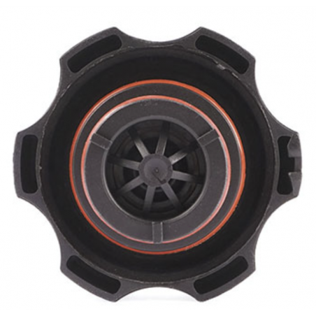 TAPA DEPOSITO RADIADOR CHEVROLET CRUZE/SAIL/SPARK GT 2010/2023 OEM 13502353
