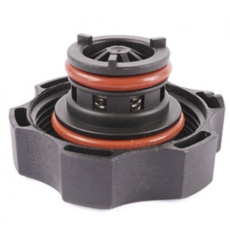TAPA DEPOSITO RADIADOR CHEVROLET CRUZE/SAIL/SPARK GT 2010/2023 OEM 13502353